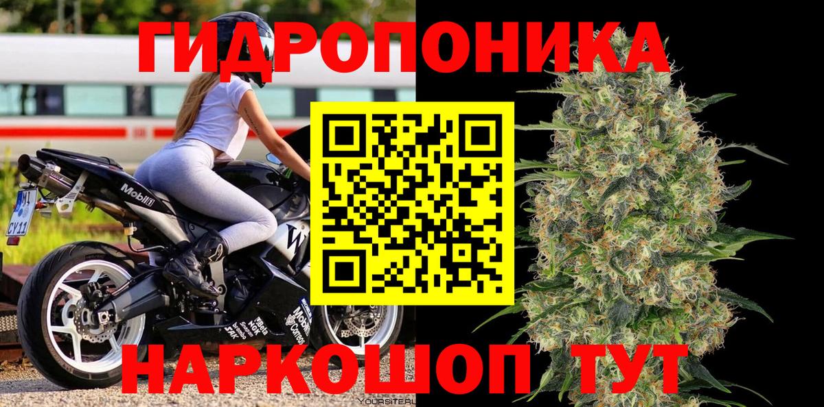 Сочи  Марихуана OG Kush  Конопля индика  Вход с VPN 